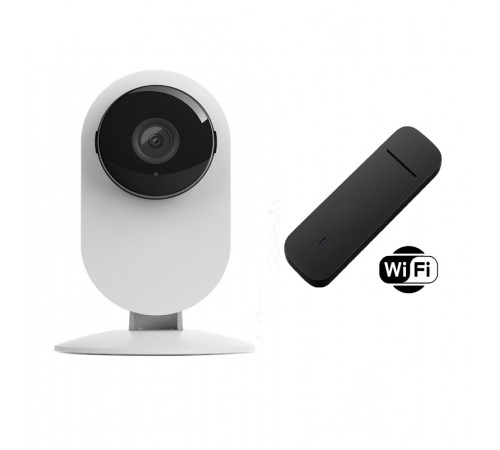 4G комплект для удаленного доступа с камерой 2Mp для внутренней установки/возможность записи