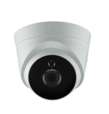 IP видеокамера MS-2829-POE (2 Мп, 2.8 мм, запись звука, PoE, с ИК-подсветкой до 20 м, антивандальная)